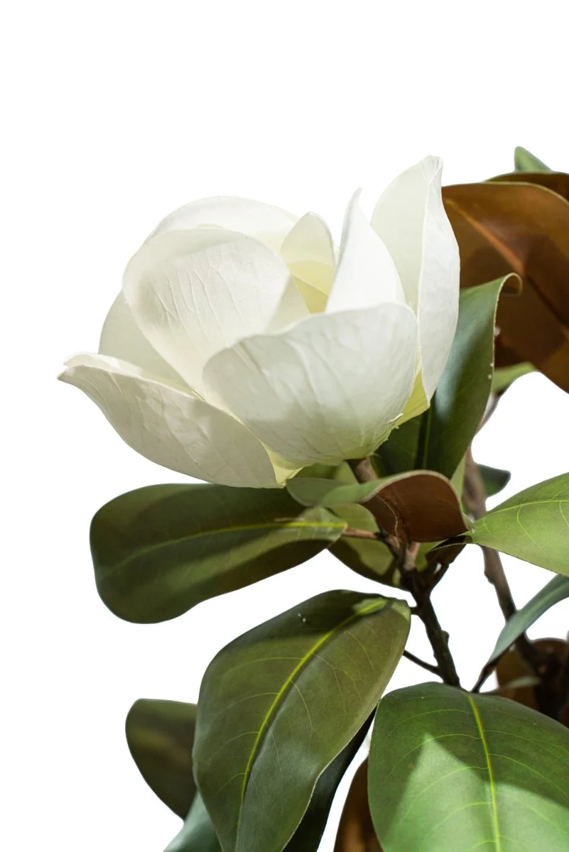 Albero artificiale realistico Magnolia Deluxe h210 cm | Xone - Image 8