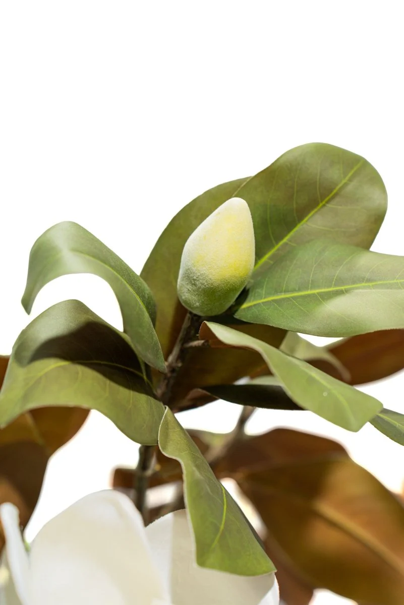 Albero artificiale realistico Magnolia Deluxe h210 cm | Xone - Image 9