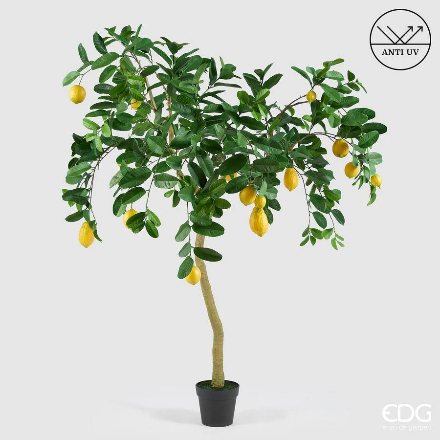 Albero di limone artificiale con vaso | EDG - Image 2