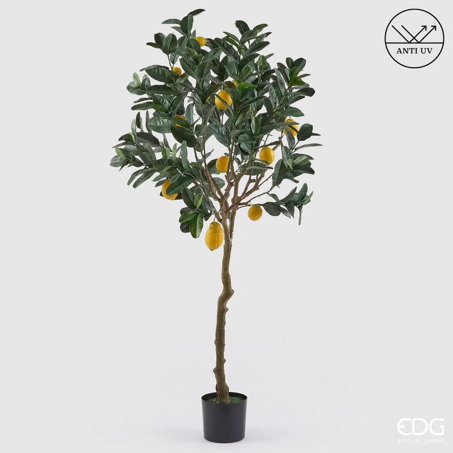 Albero di limone artificiale con vaso | EDG - Image 3