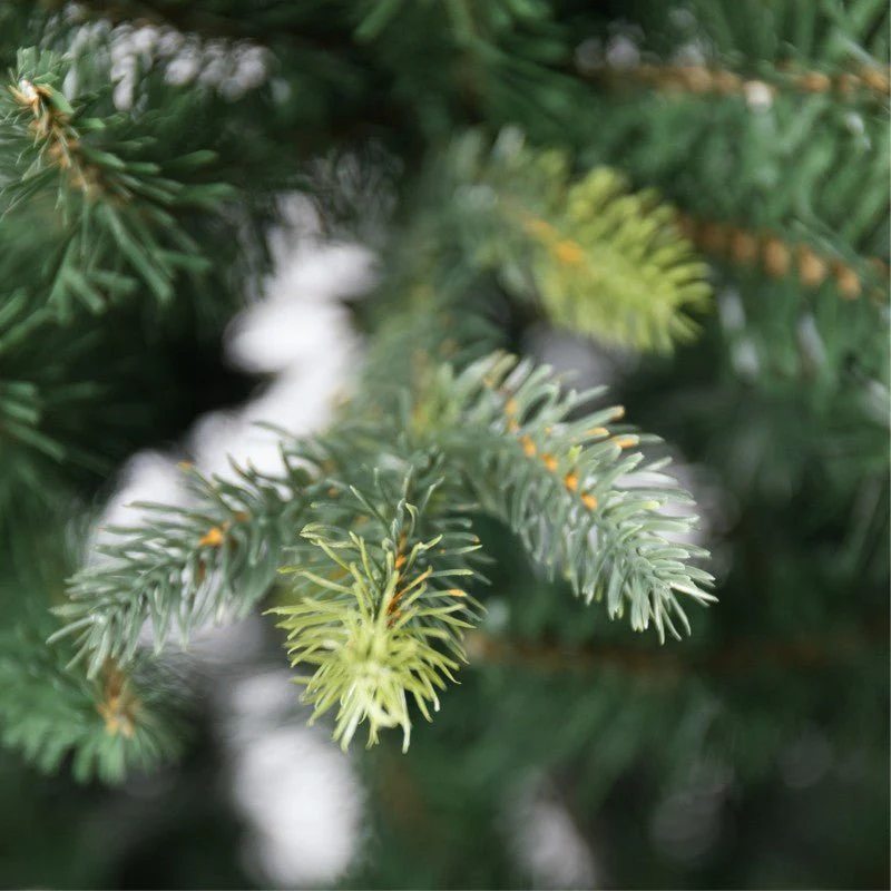 Albero di Natale artificiale Arthur, tradizionale con chioma verde smeraldo | Xone - Image 2