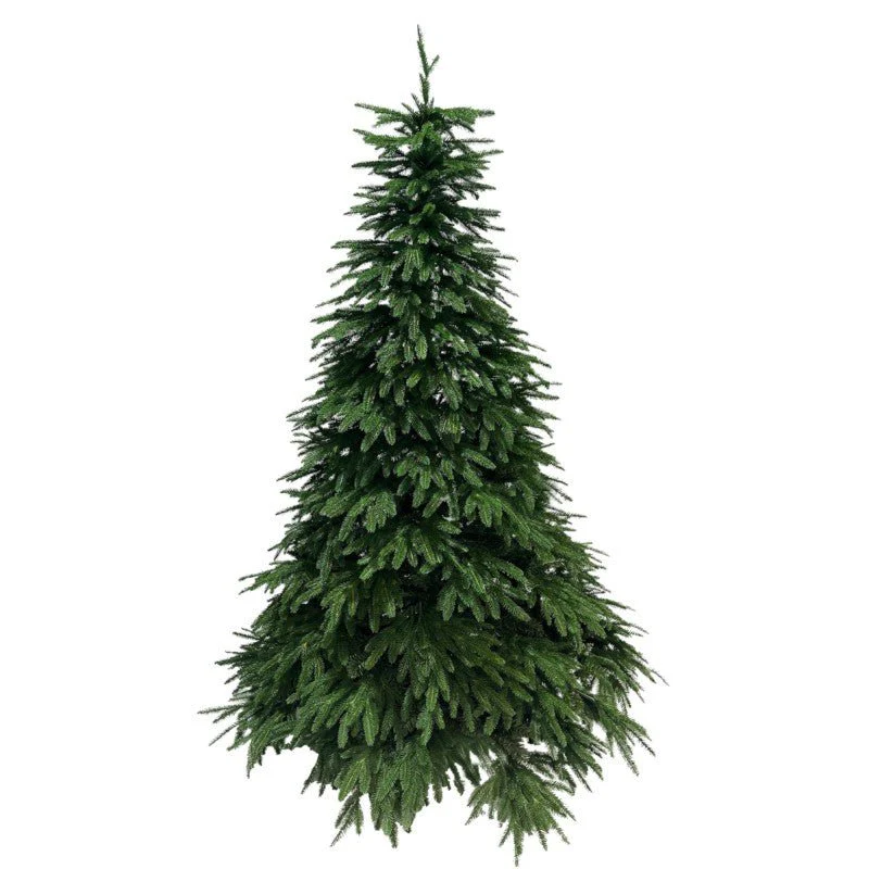 Albero di Natale Baltico | Xone - Image 7