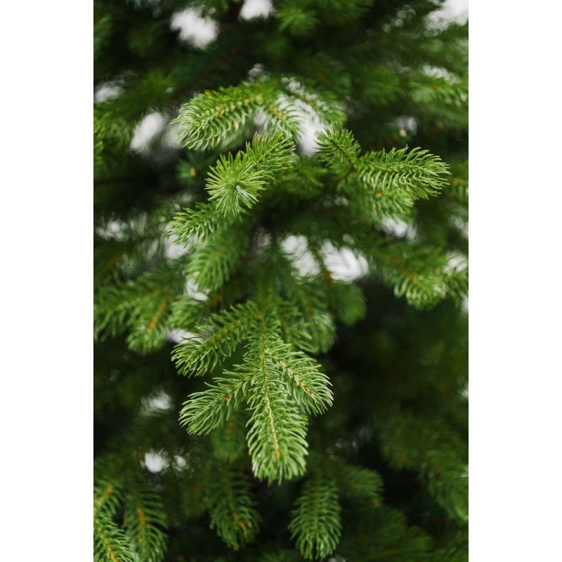 Albero di Natale Bernard - Chioma generosa ed effetto naturale | Xone - Image 3
