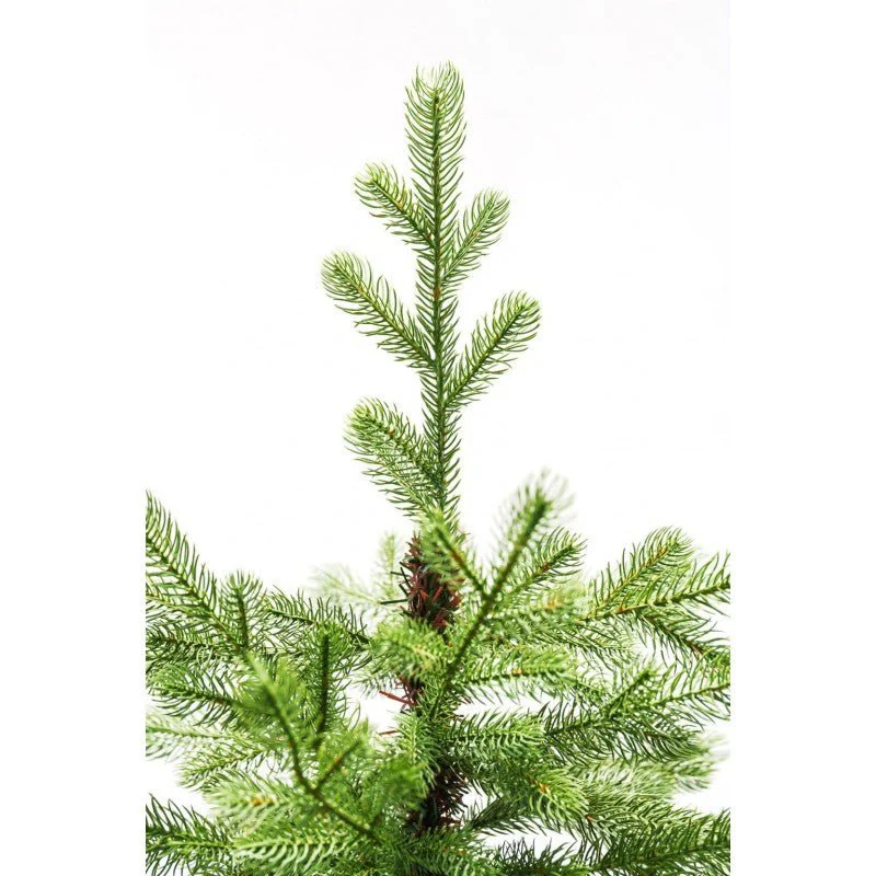 Albero di Natale Bernard - Chioma generosa ed effetto naturale | Xone - Image 4