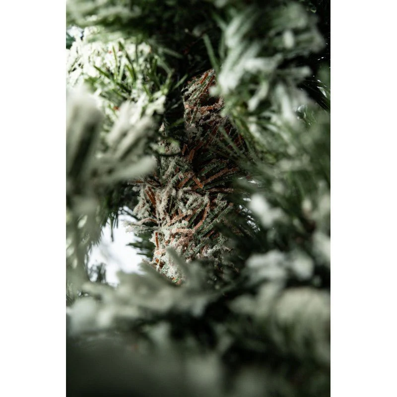 Albero di Natale innevato Fred | Xone - Image 9