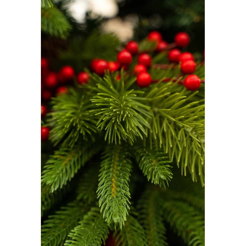 Albero di Natale Oscar | Xone - Image 8