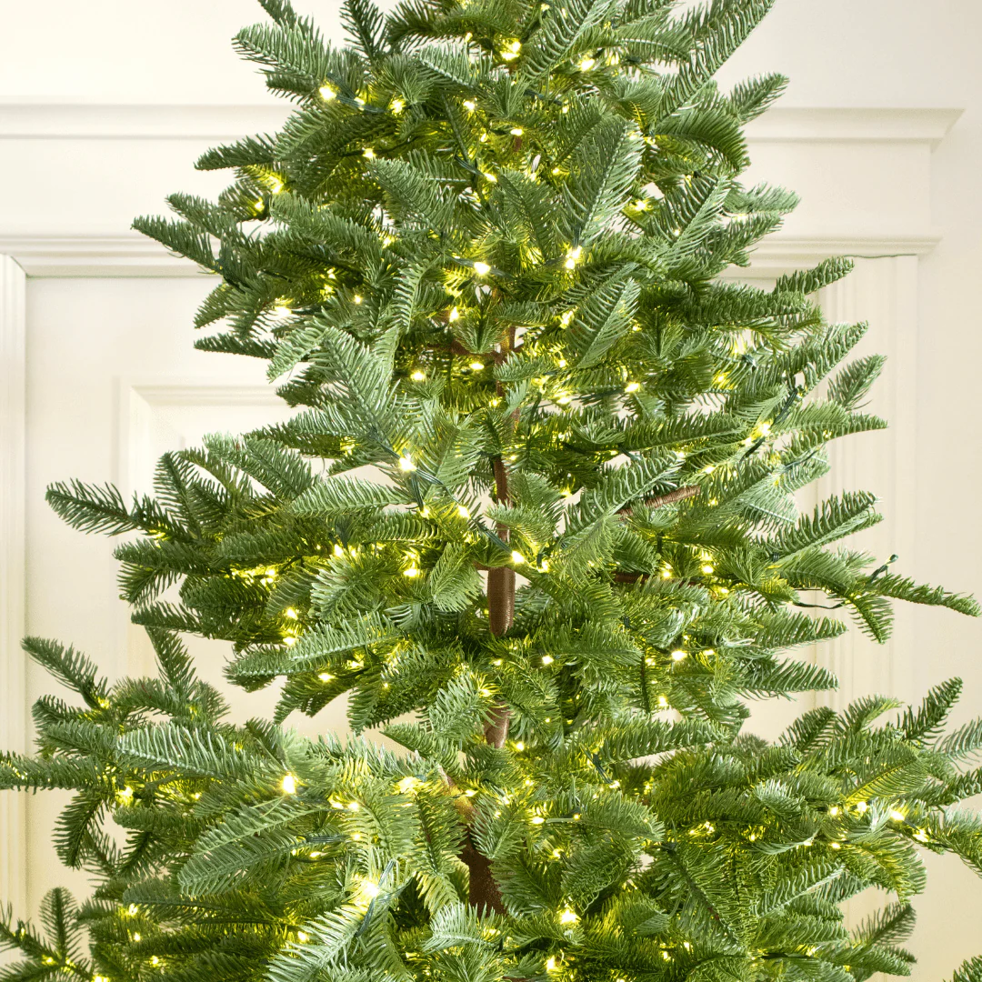 Albero di Natale Rockefeller Led by Salvatore Izzo - Image 11