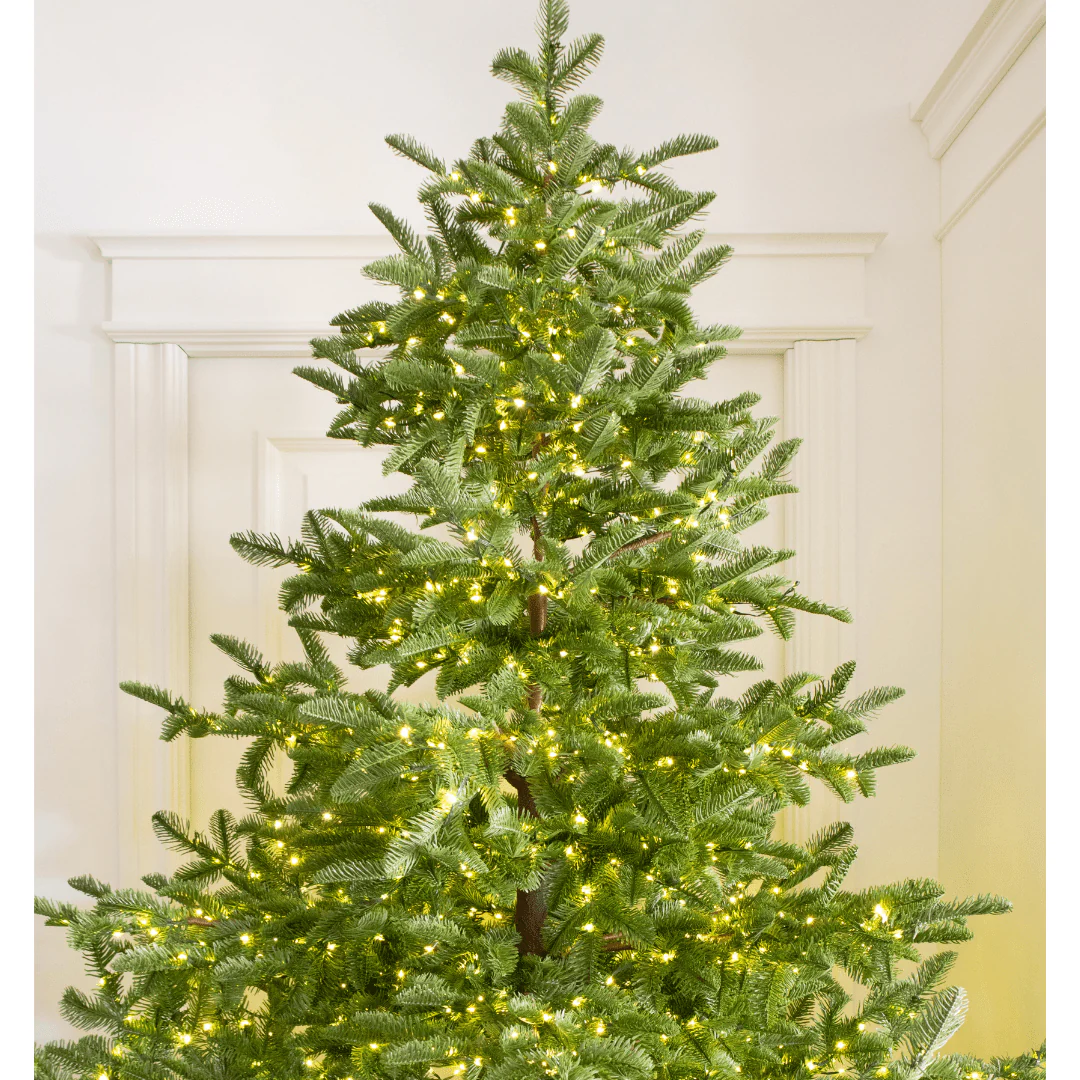 Albero di Natale Rockefeller Led by Salvatore Izzo - Image 12