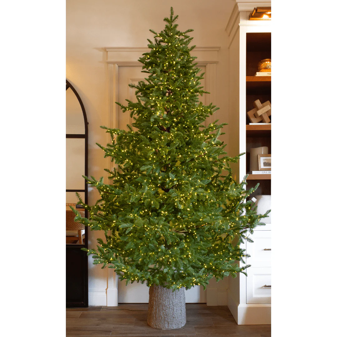 Albero di Natale Rockefeller Led by Salvatore Izzo - Image 3