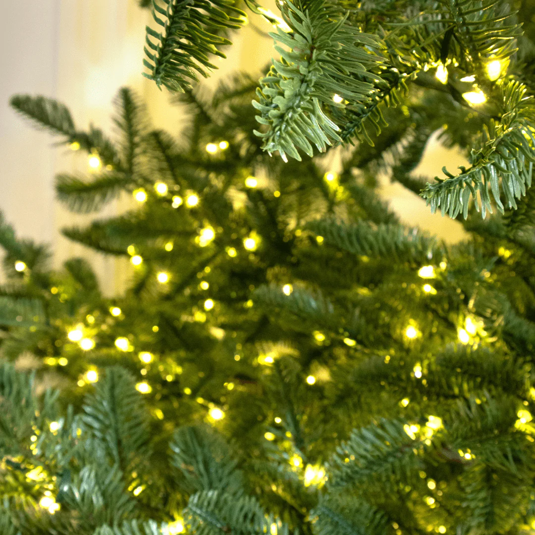Albero di Natale Rockefeller Led by Salvatore Izzo - Image 6
