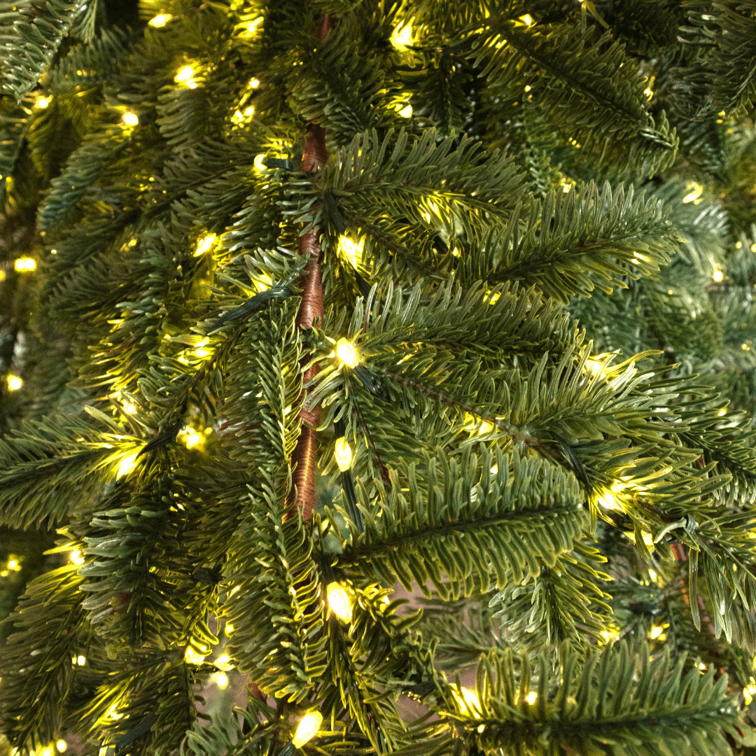 Albero di Natale Rockefeller Led by Salvatore Izzo - Image 7
