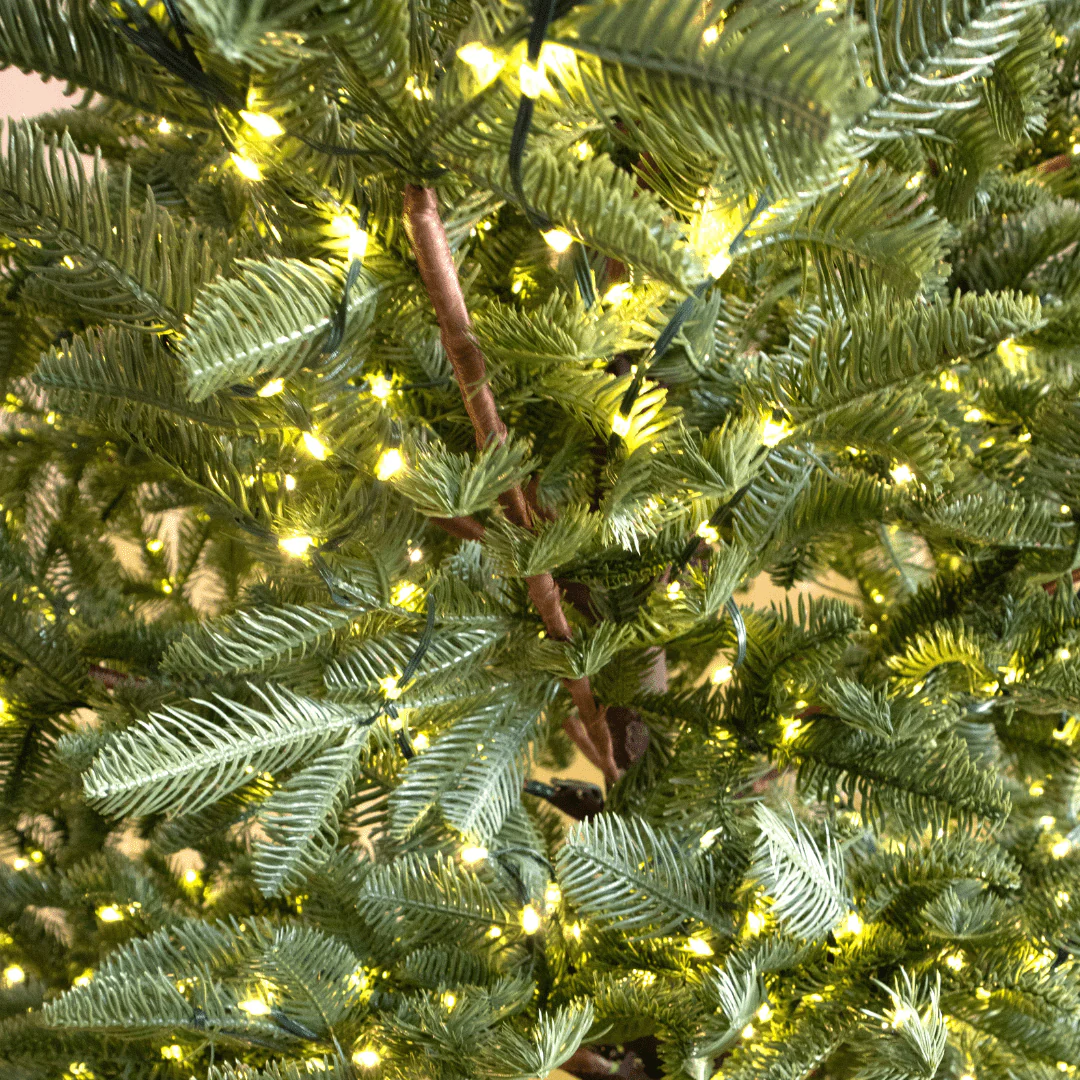 Albero di Natale Rockefeller Led by Salvatore Izzo - Image 8