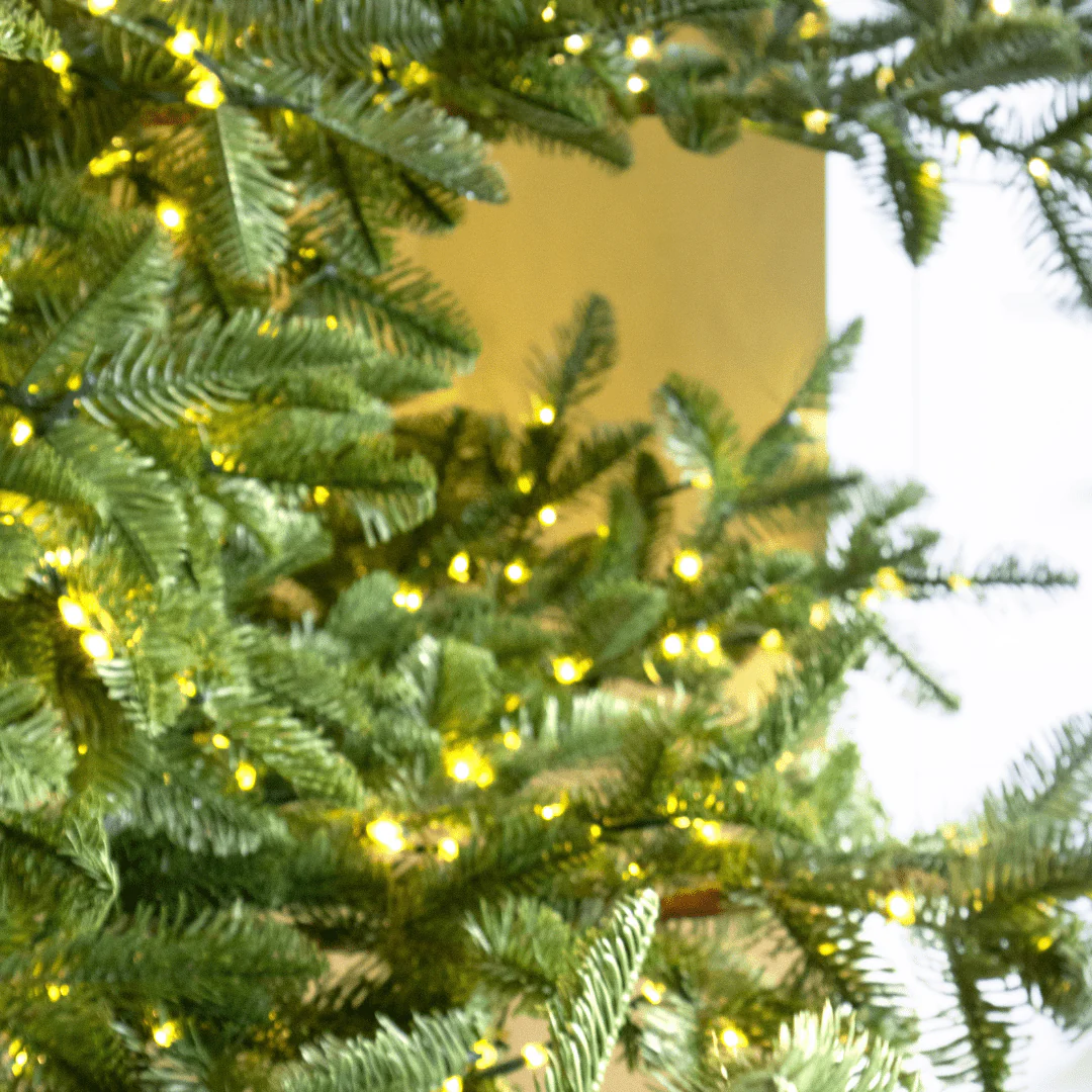 Albero di Natale Rockefeller Led by Salvatore Izzo - Image 9