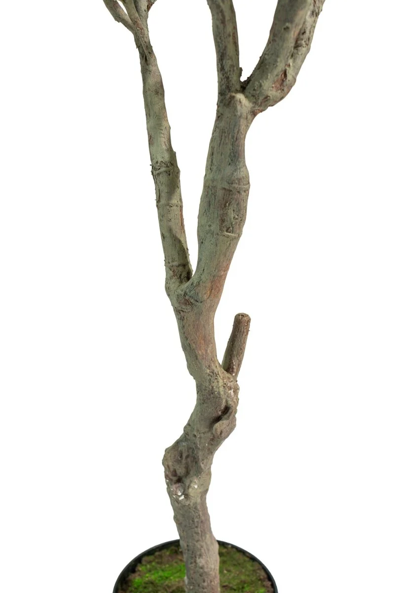 Ulivo artificiale realistico h245cm | Xone - Image 3