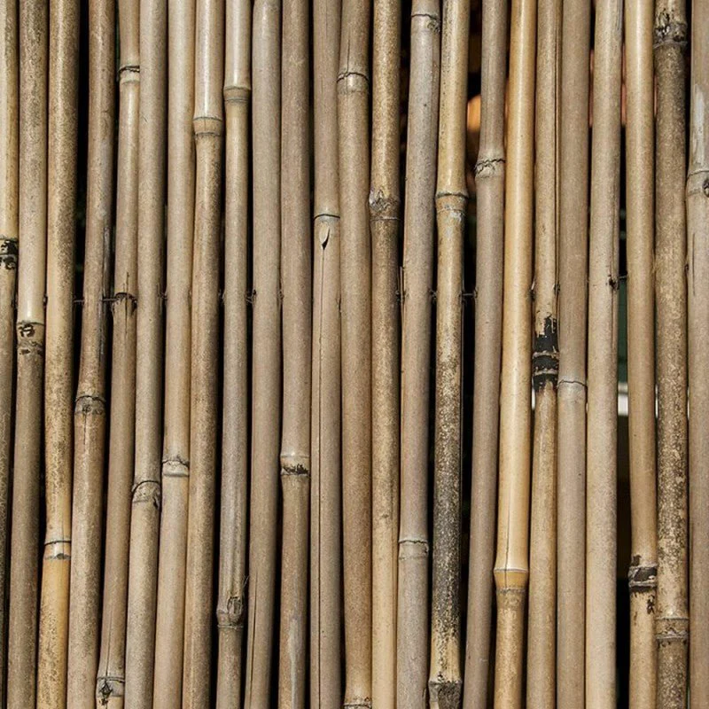 Arella Xone in Bamboo Spessa con Filo Passante – Privacy Naturale e Resistente per Esterni - Image 5