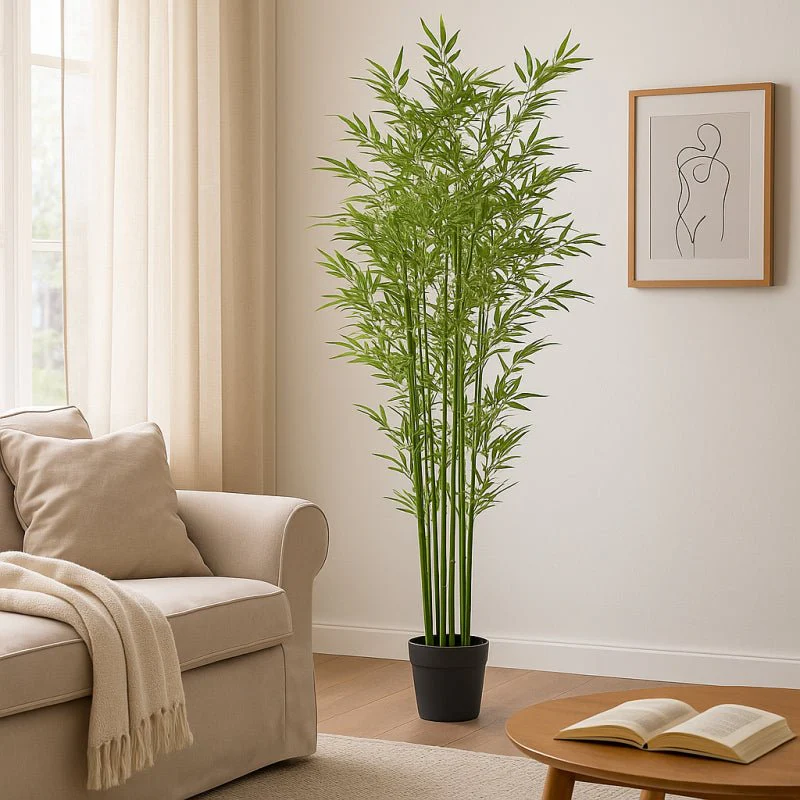 Bamboo Con vaso Altezza 210cm | EDG - Image 2