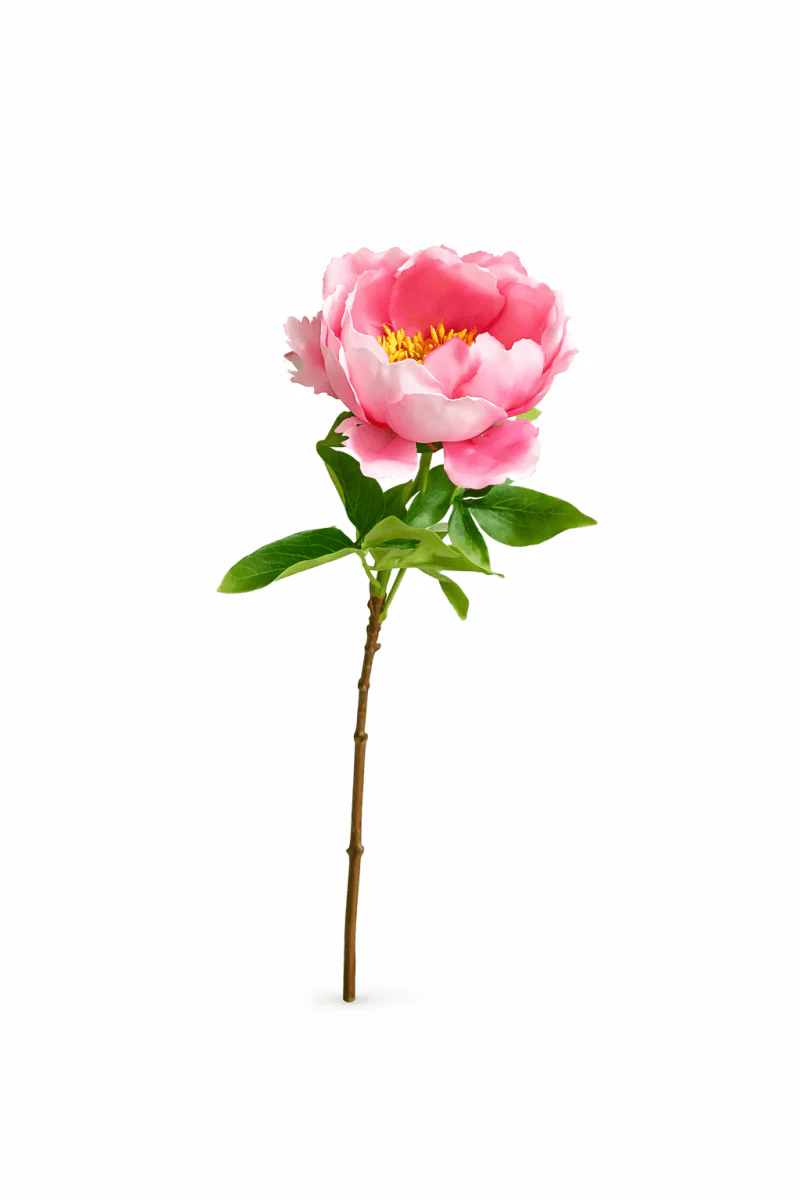 Bell Peonia artificiale ramo H55cm | EDG - Image 3