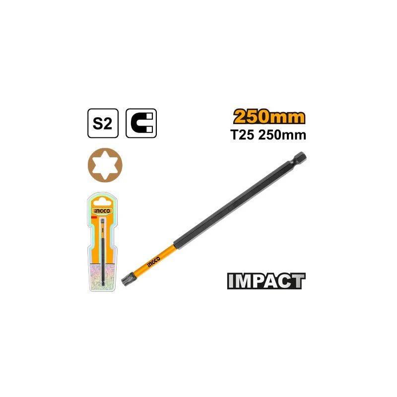 CACCIAVITE BIT 250 MM MAGNETICO T25