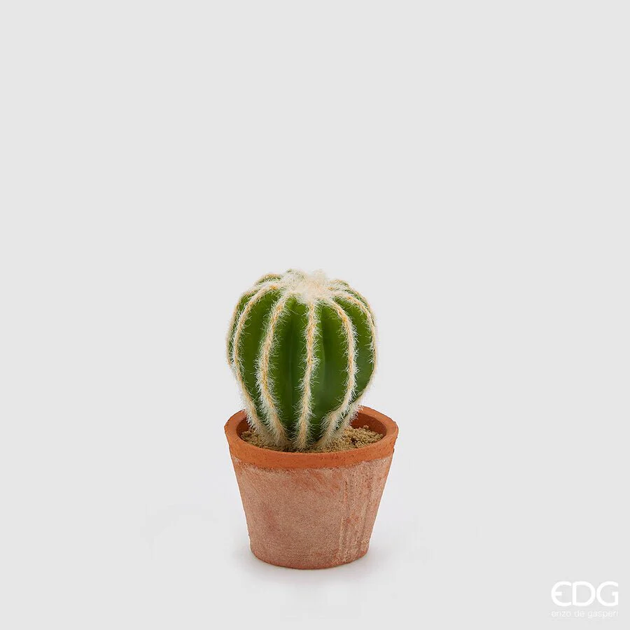 Cactus artificiale con vaso H16cm | EDG