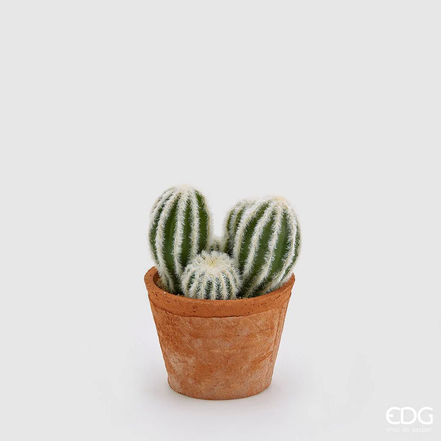 Mix cactus artificiale con vaso H19cm | EDG