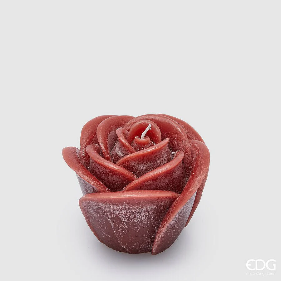 Candela Rose H9cm | EDG - Image 2