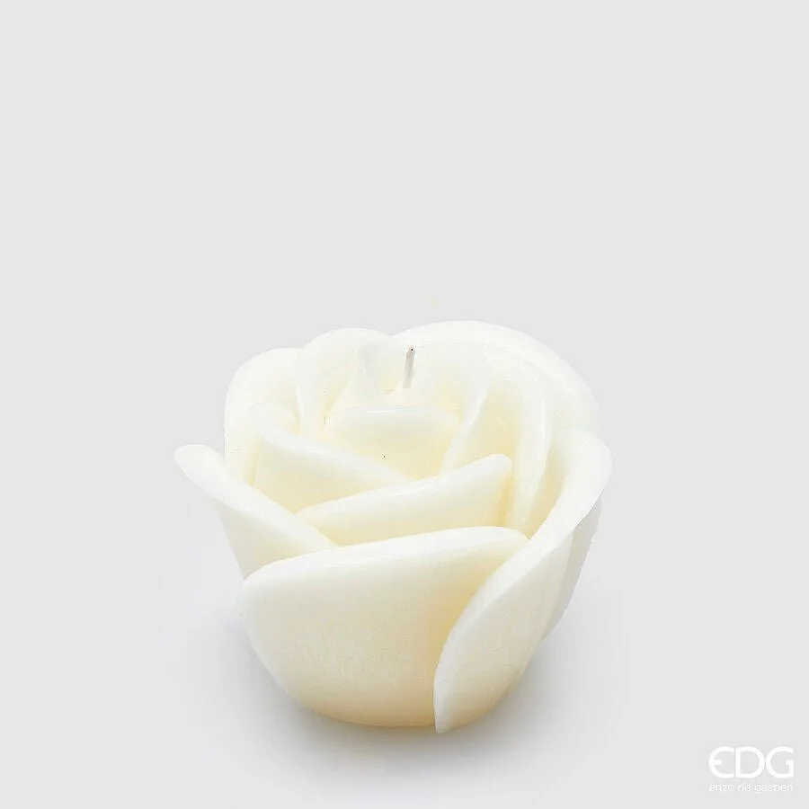 Candela Rose H9cm | EDG - Image 3