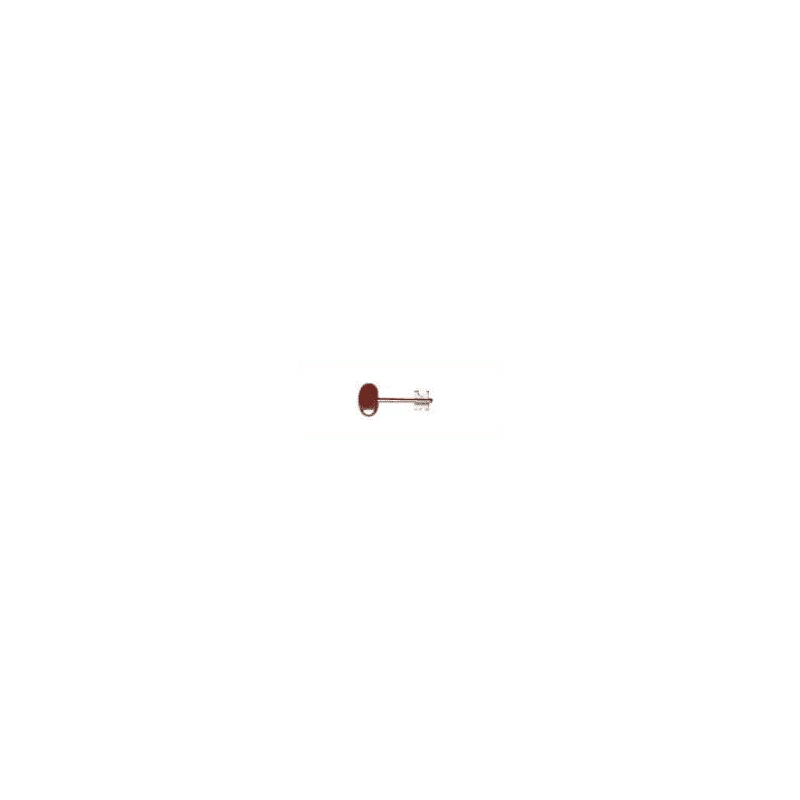 Cassaforte con Chiave Special - Image 2