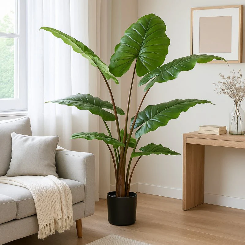 Chic Alocasia con Vaso 120cm | EDG - Image 2