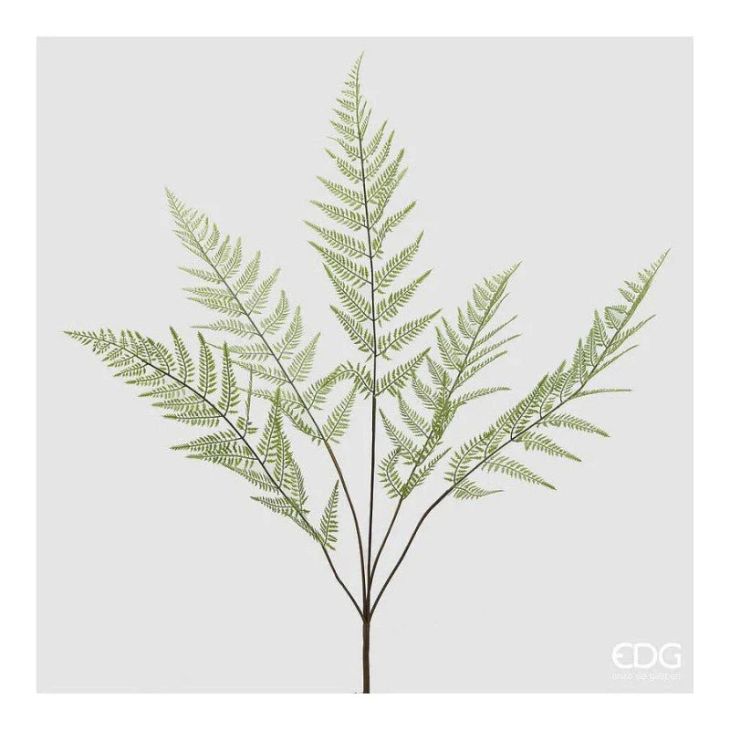 Felce Cespuglio H.97 | EDG