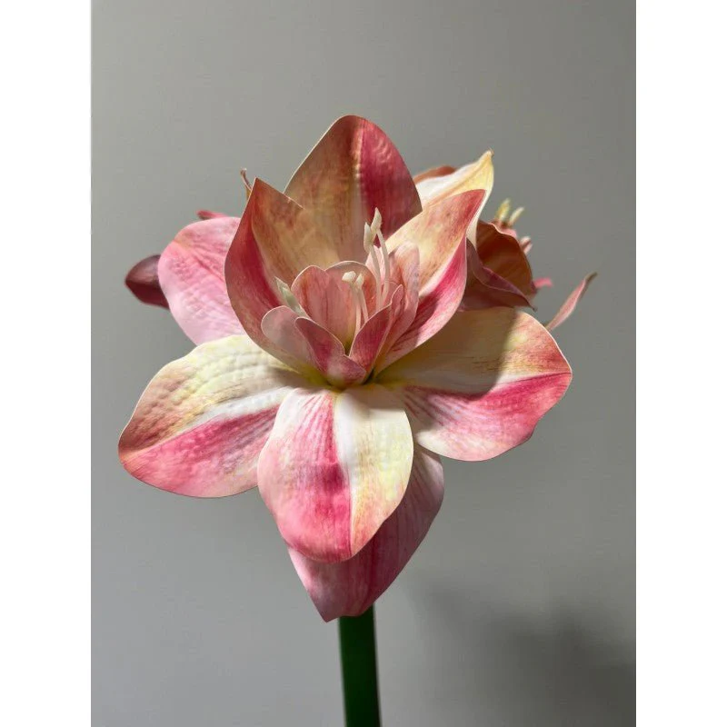 Fiore Amaryllis artificiale 60h cm EDG - Image 2