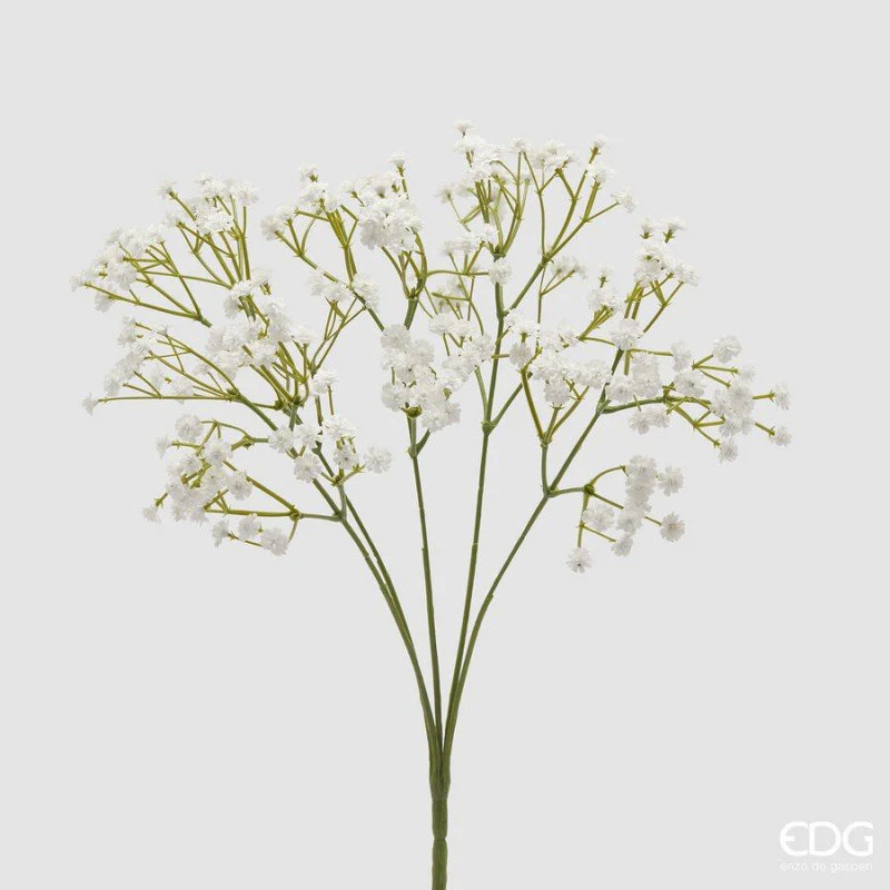 Gypsophila Cespuglio X5 Bianco | EDG