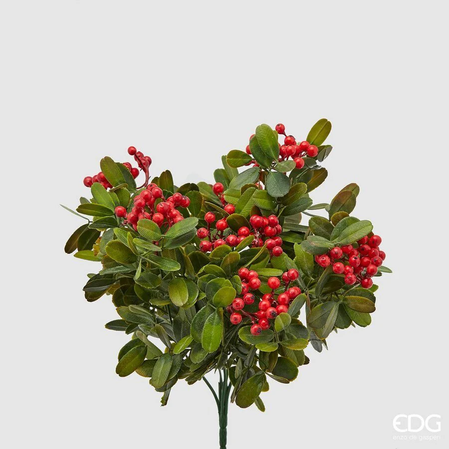 Cespuglio lentischio con bacche H30cm | EDG