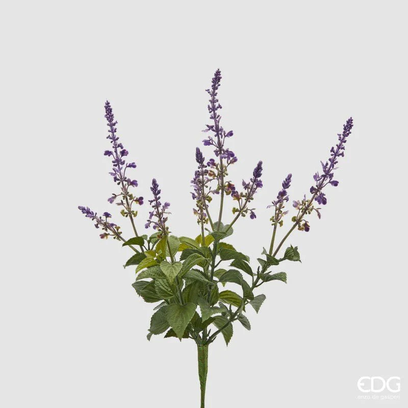 Mazzo di Lavanda con foglie | EDG