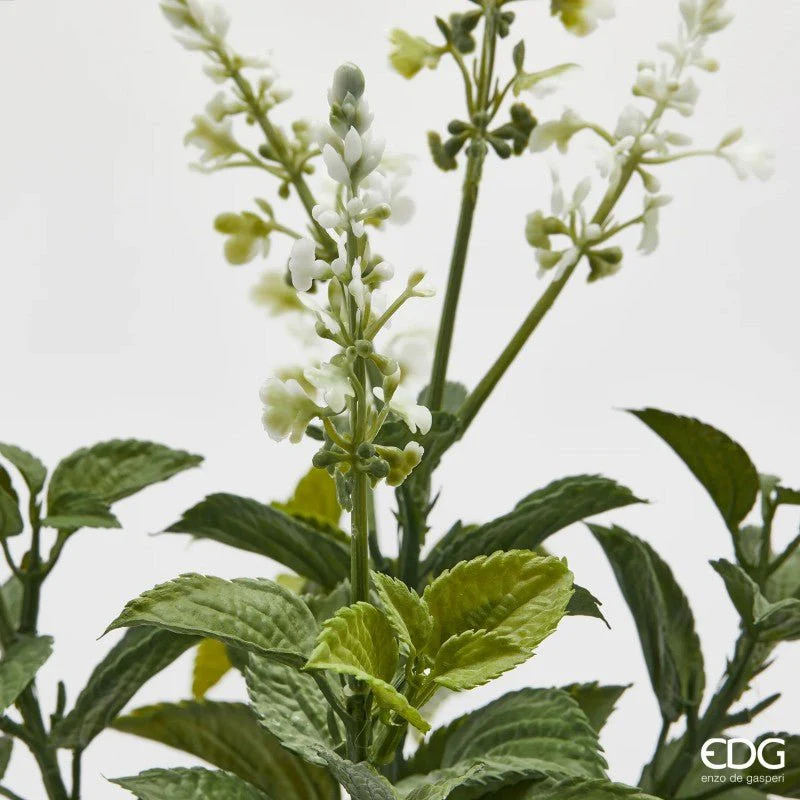Mazzo di Lavanda con foglie | EDG - Image 4