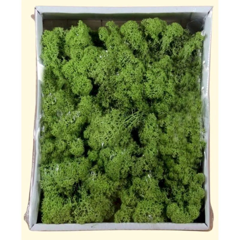 Muschio lichene verde sc. 400 gr.