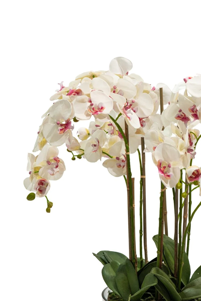 Pianta artificiale in vaso trasparente Orchidea Phalaenopsis h85 cm | Xone - Image 2