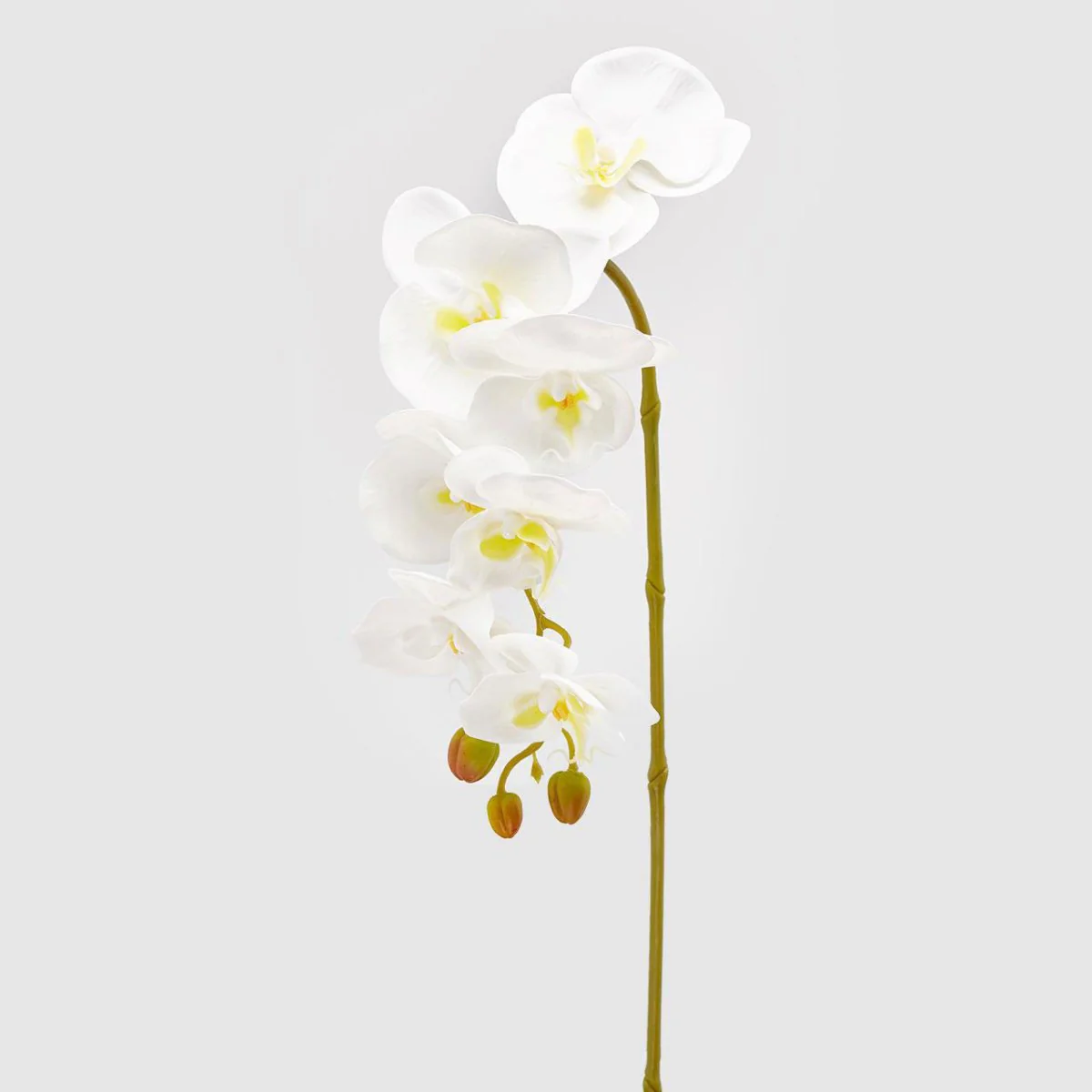 Orchidea artificiale Phalaenopsis Olisramo bianco x7 H85| EDG