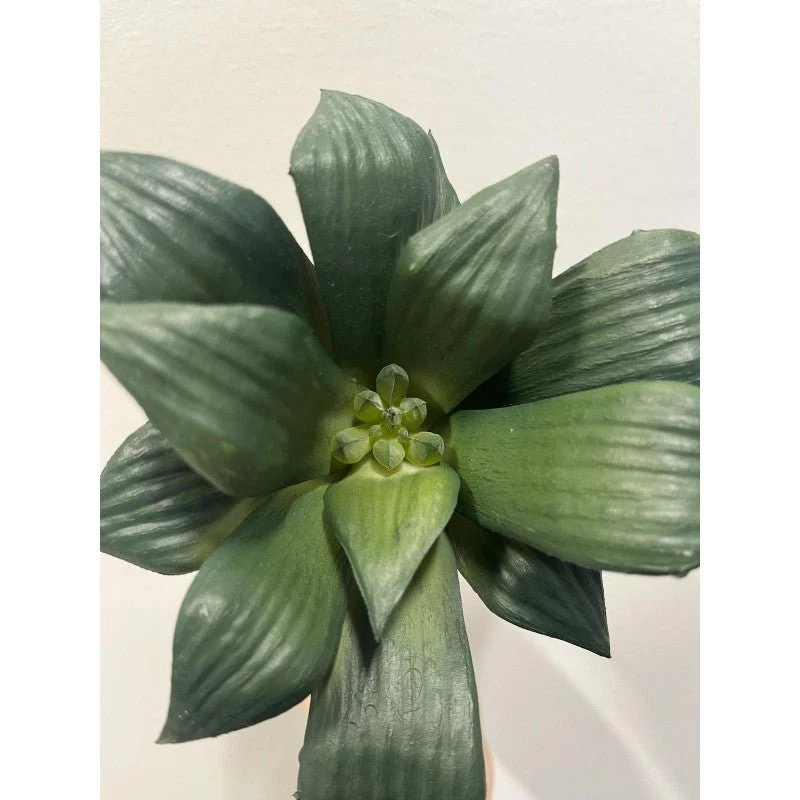 Pianta artificiale Agave Bell Pick 16h cm EDG - Image 3