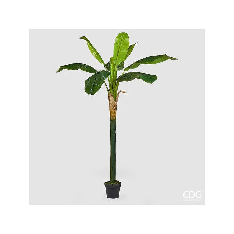 Pianta artificiale Banano con vaso EDG - Image 2