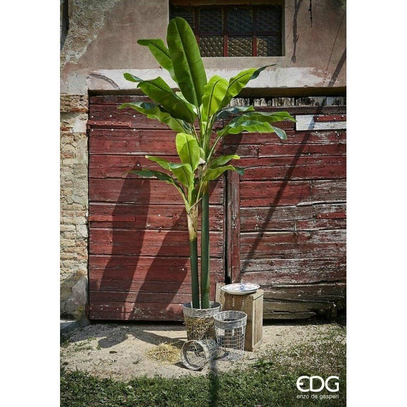 Pianta artificiale Banano con vaso EDG - Image 4