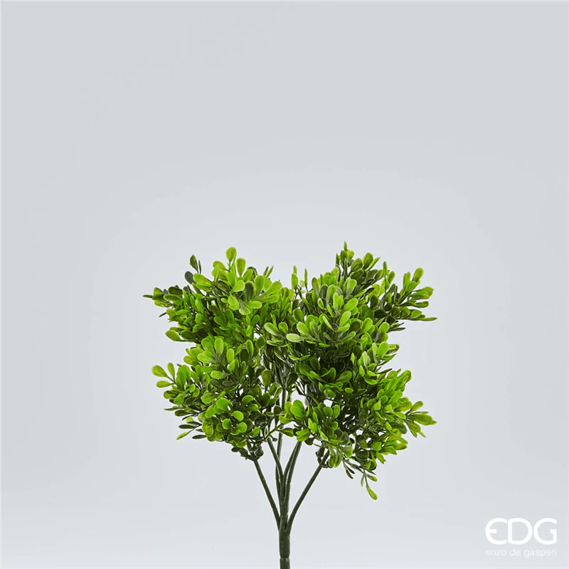Pianta artificiale Bosso Chic 26h cm EDG