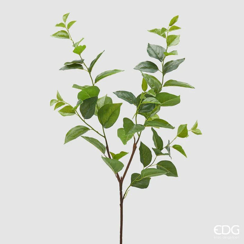 Pianta artificiale Pioppo Ramo altezza 95 cm |EDG