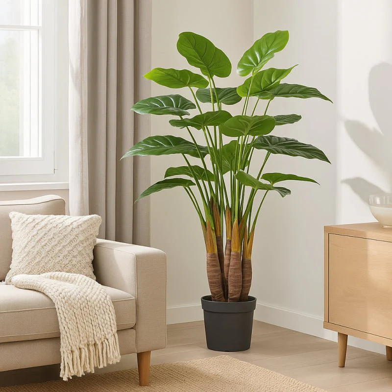 Pianta Chic Filodendro 120cm| EDG - Image 2
