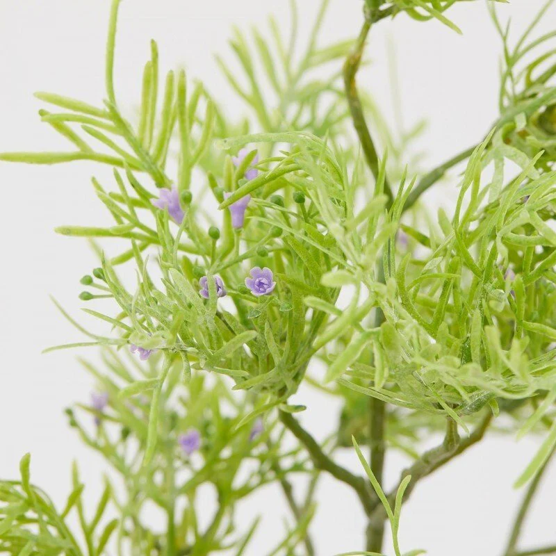 Pianta decorativa Asparagus Bell 42h cm EDG - Image 2