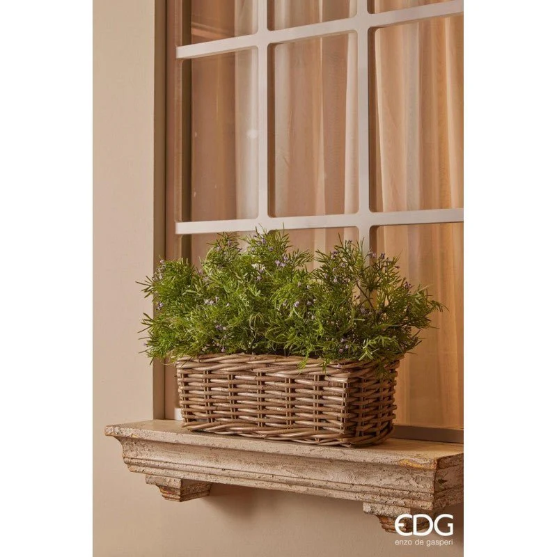 Pianta decorativa Asparagus Bell 42h cm EDG - Image 3
