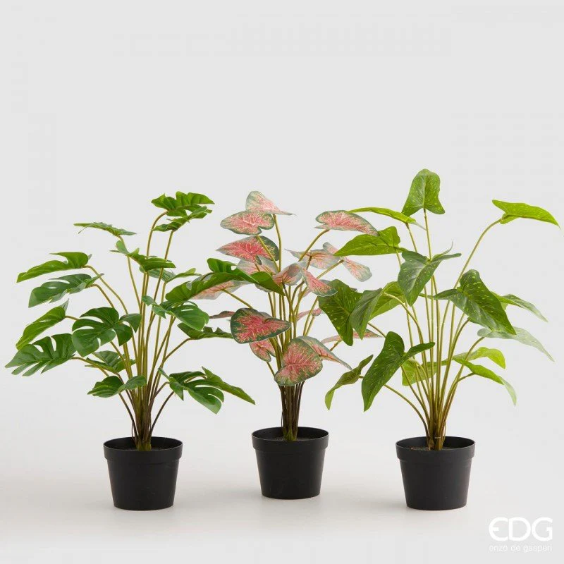 Piante artificiali in vaso 48 cm EDG