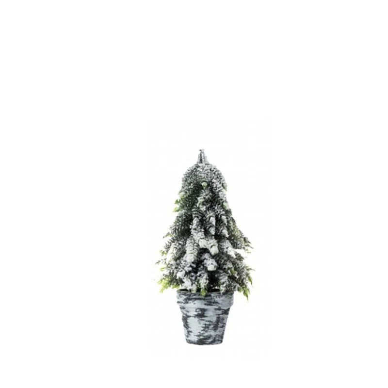Pinetto con vaso Topiary | Xone - Image 3