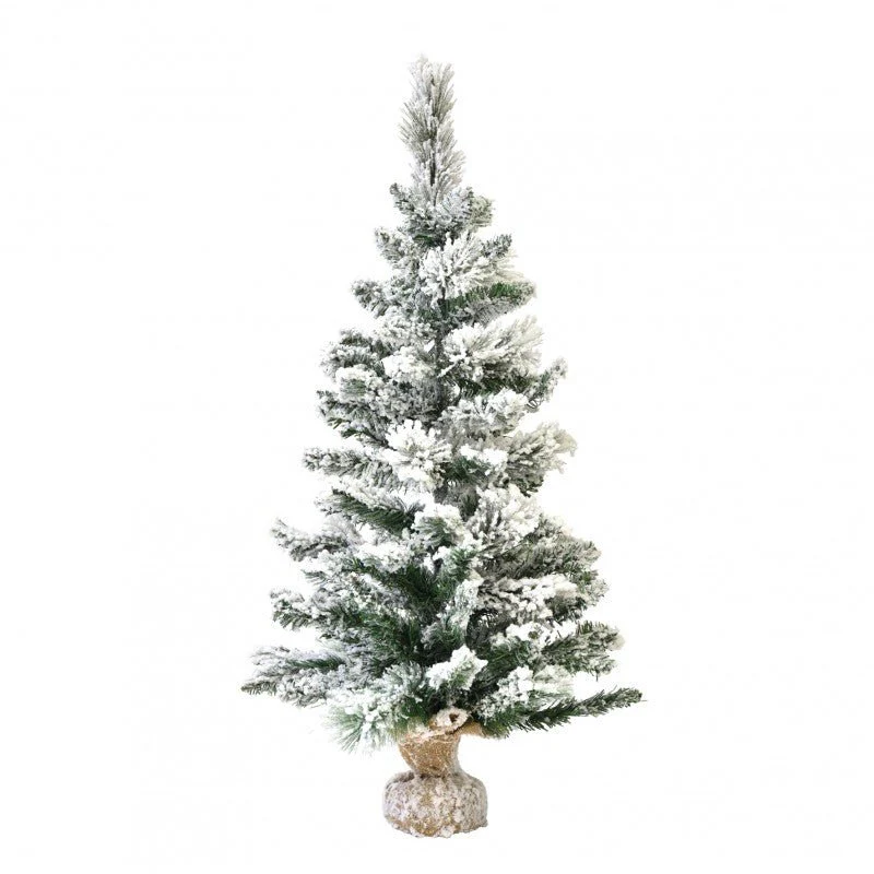 Pinetto del Nord | Xone