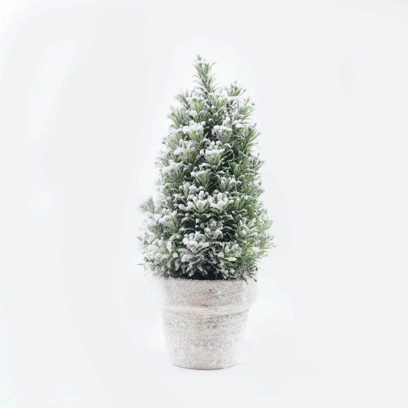 Pinetto Fiocco di Neve | Xone - Image 3