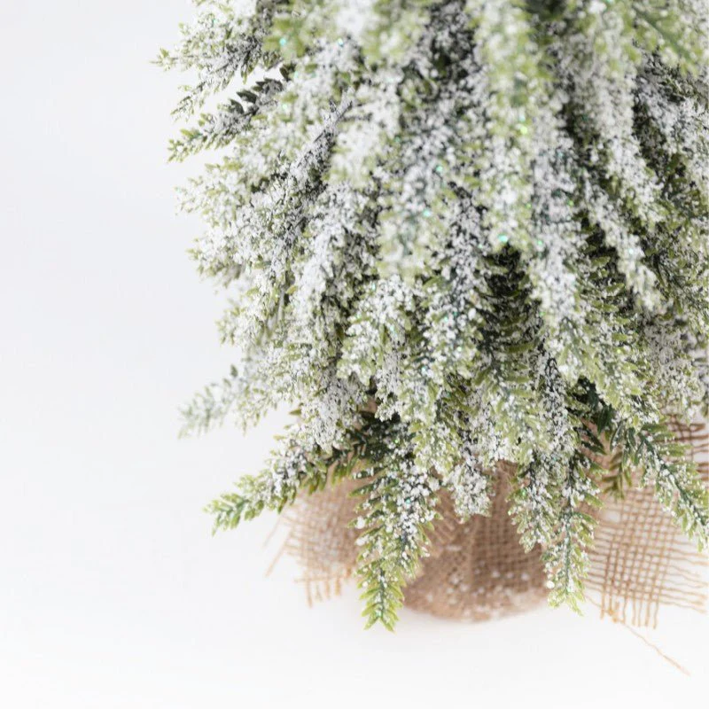 Pinetto Snow Tip | Xone - Image 3